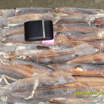 Frozen BQF 150 200g Illex Argentinus Squid Harga